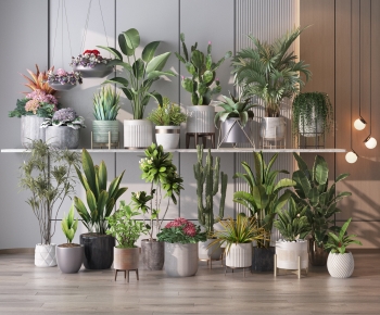 Modern Ground Green Plant Potted Plants-ID:410684114