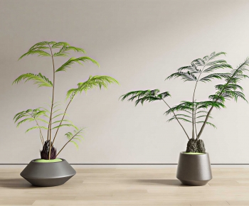 New Chinese Style Potted Green Plant-ID:361139062