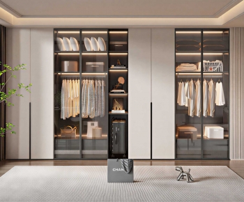 Modern Clothes Storage Area-ID:562084916