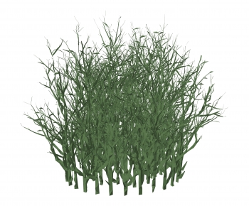 Modern Plant-ID:840940552