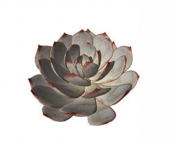 Modern Plant-ID:160866981