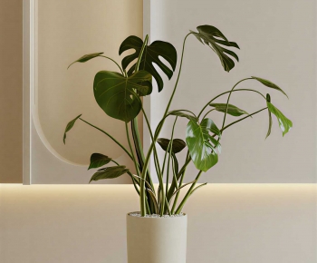 Modern Ground Green Plant Potted Plants-ID:368559468