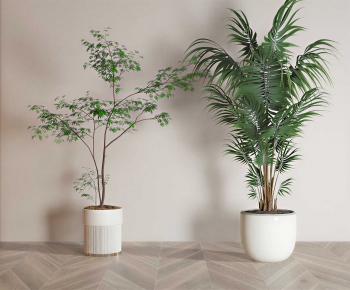 Modern Ground Green Plant Potted Plants-ID:122642993