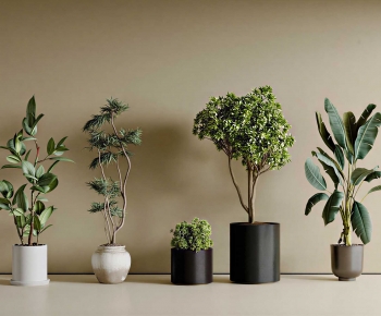 Modern Ground Green Plant Potted Plants-ID:374047999