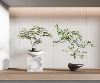Modern Bonsai-ID:698236943