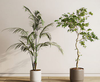 Modern Ground Green Plant Potted Plants-ID:220695025