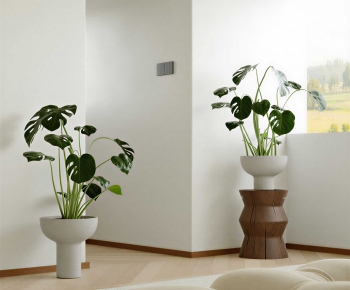 Modern Ground Green Plant Potted Plants-ID:684349526