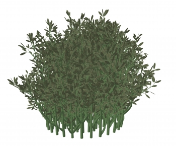 Modern Plant-ID:964163065