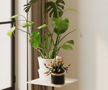 Modern Potted Green Plant-ID:383897073