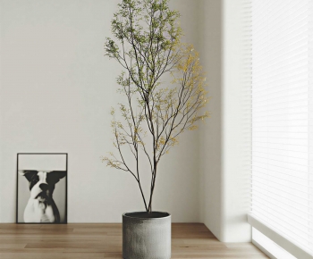 Modern Ground Green Plant Potted Plants-ID:121290773