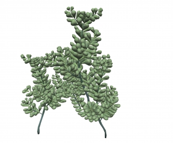 Modern Plant-ID:424777982