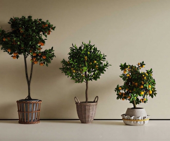 Modern Ground Green Plant Potted Plants-ID:135274899