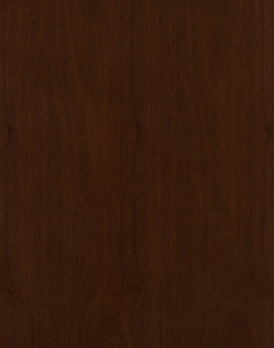 ModernWood Texture