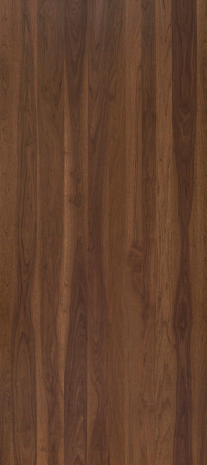 ModernWood Texture