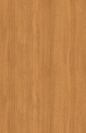 ModernWood Texture