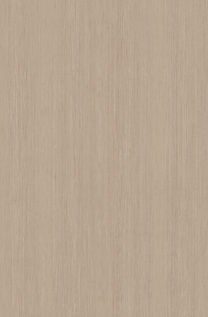 ModernWood Texture