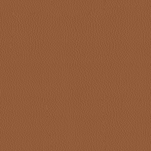 ModernRough Grain Leather