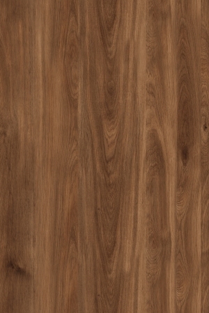 ModernWood Texture