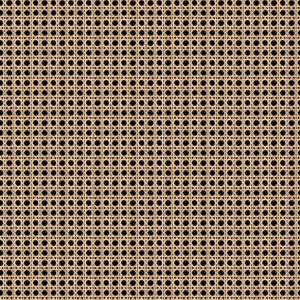 ModernRattan Texture