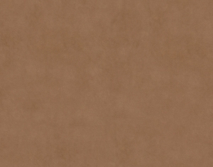 ModernFine Grain Leather