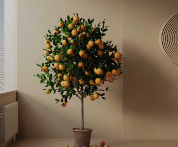 Modern Ground Green Plant Potted Plants-ID:435812005