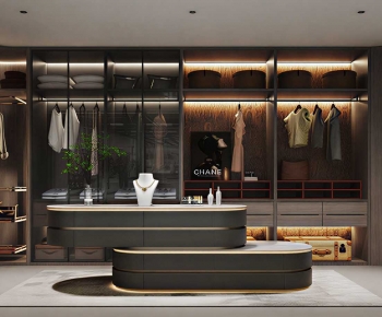 Modern Clothes Storage Area-ID:349819902