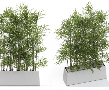 Modern Flower Bed, Flower Bowl, Flower Box-ID:705507997