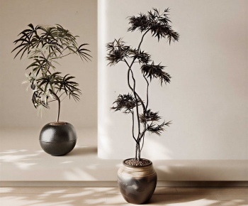 Modern Ground Green Plant Potted Plants-ID:616668949