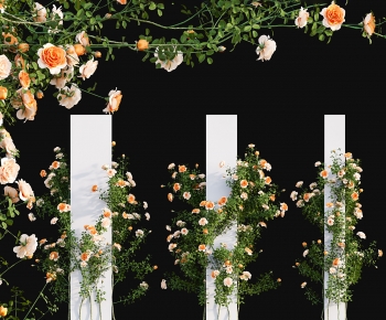 Modern Vine-ID:804240747