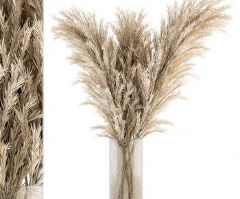 Modern Dried Branch-ID:956867938