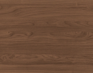 ModernWood Texture