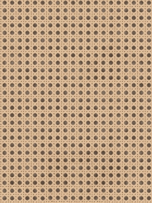 Wabi-sabi StyleRattan Texture