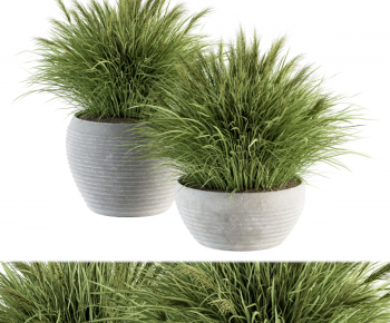 Modern Ground Green Plant Potted Plants-ID:754957914