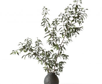 Modern Dried Branch-ID:760221961