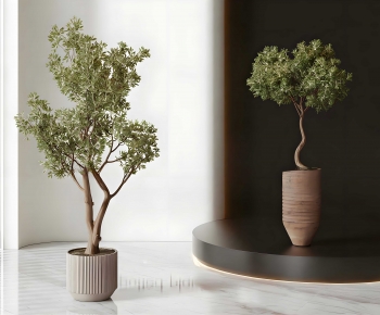 Modern Ground Green Plant Potted Plants-ID:105550397