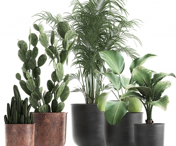 Modern Ground Green Plant Potted Plants-ID:533781146