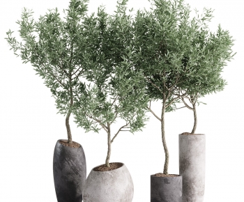 Modern Ground Green Plant Potted Plants-ID:893518999