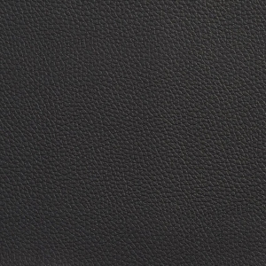 ModernRough Grain Leather
