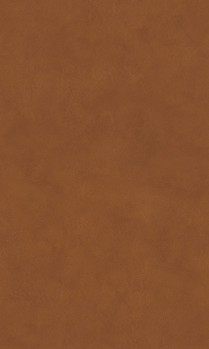 ModernFine Grain Leather