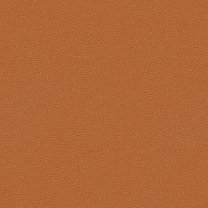 ModernRough Grain Leather