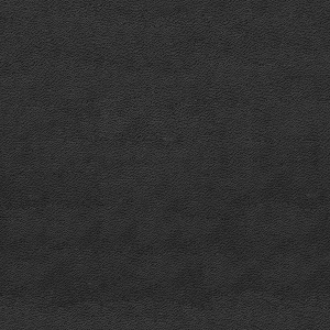 ModernFine Grain Leather