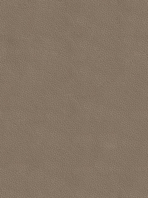 ModernFine Grain Leather