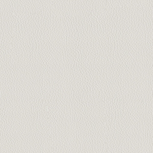 ModernRough Grain Leather