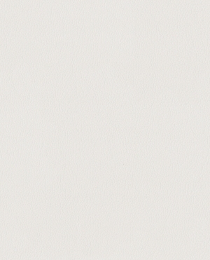 ModernFine Grain Leather