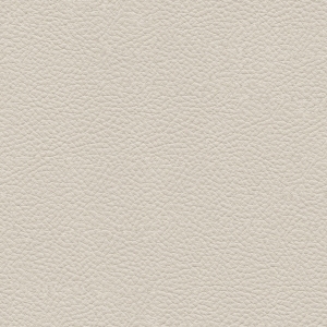 ModernRough Grain Leather