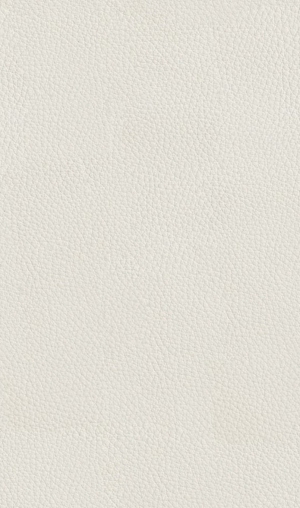 ModernRough Grain Leather