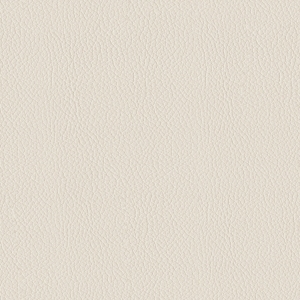 ModernRough Grain Leather