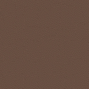 ModernRough Grain Leather