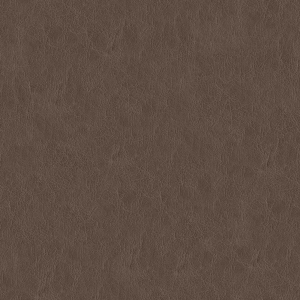 ModernRough Grain Leather