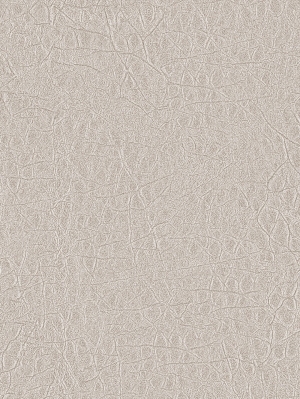 ModernFine Grain Leather